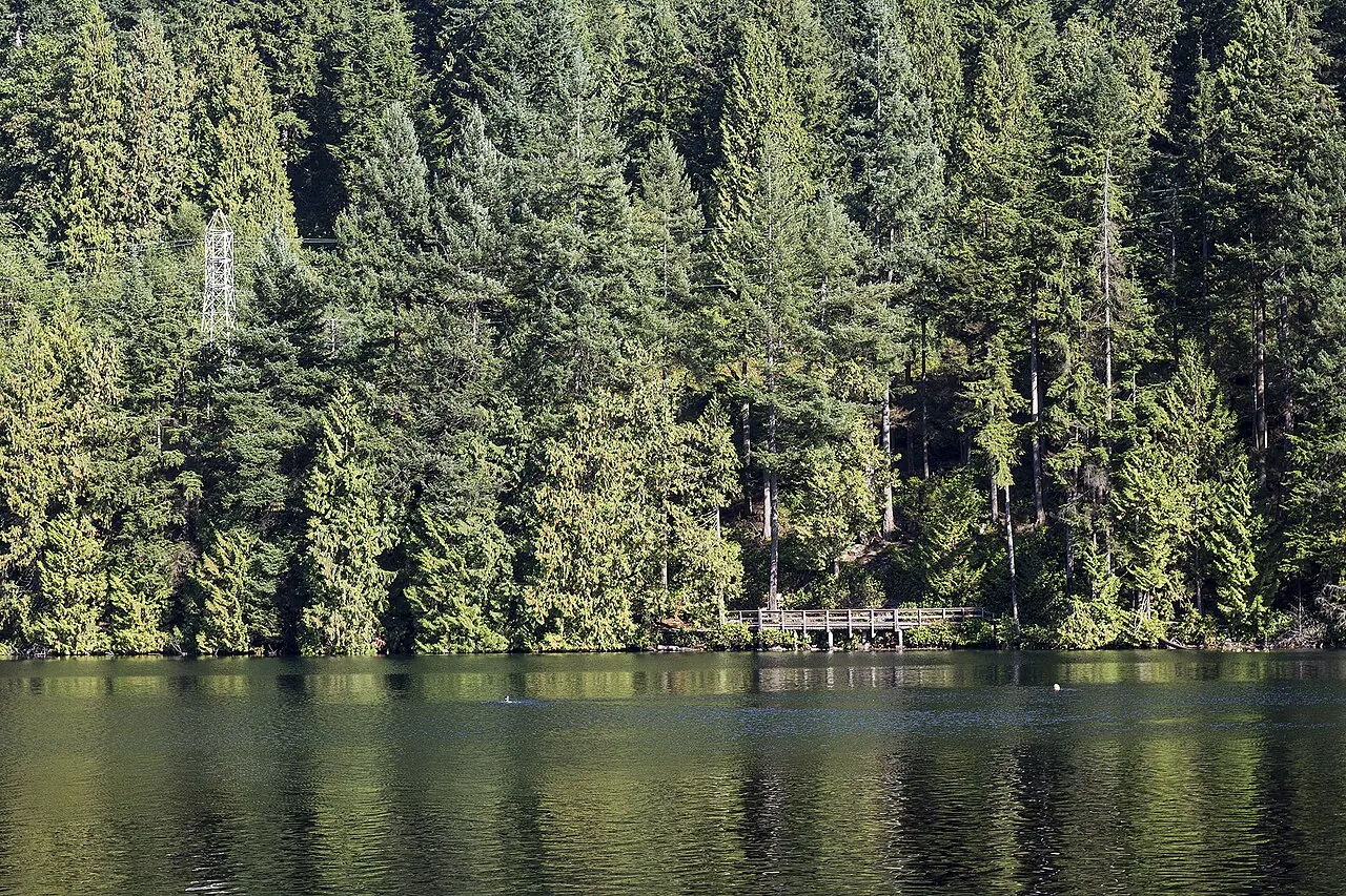 Sasamat Lake in Belcarra Regional Park, beside the White Pine Beach trailhead